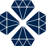 Made in Diamond City